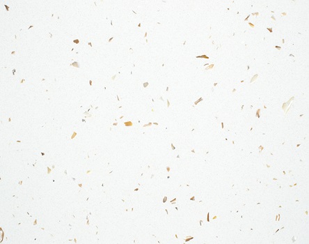 Quartz Stone Detail Image