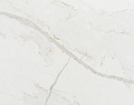 Quartz Stone Detail Image