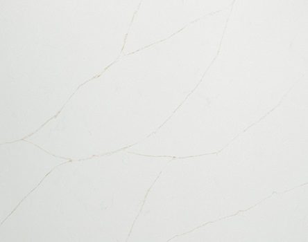 Quartz Stone Detail Image