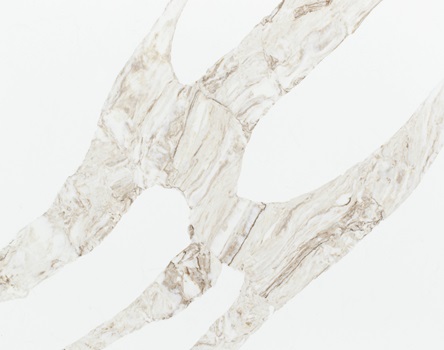 Quartz Stone Detail Image