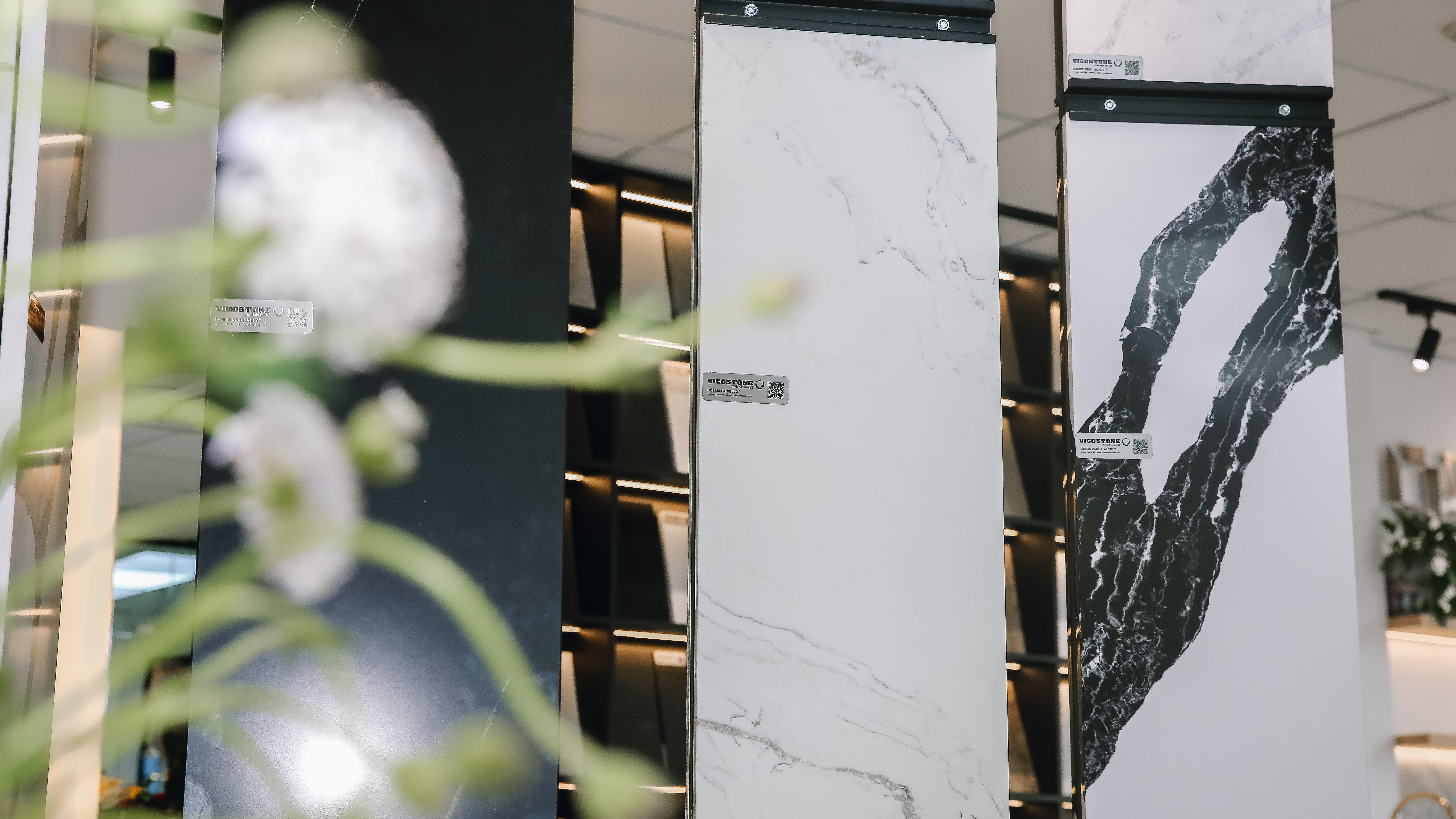 Hinh anh tai 1 dia chi VAF