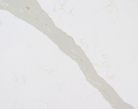 Quartz Stone Detail Image